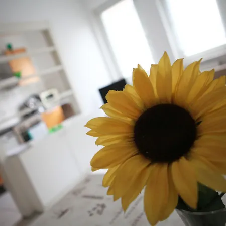 Apartament White House Ehrenfeld