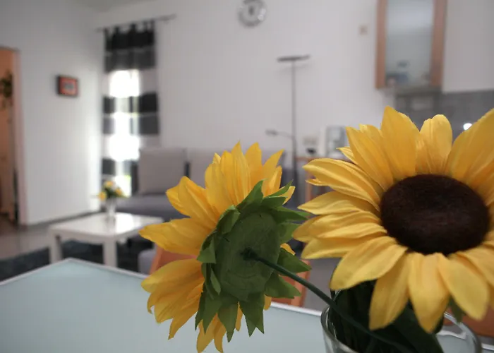 波鸿白色之家公寓 公寓