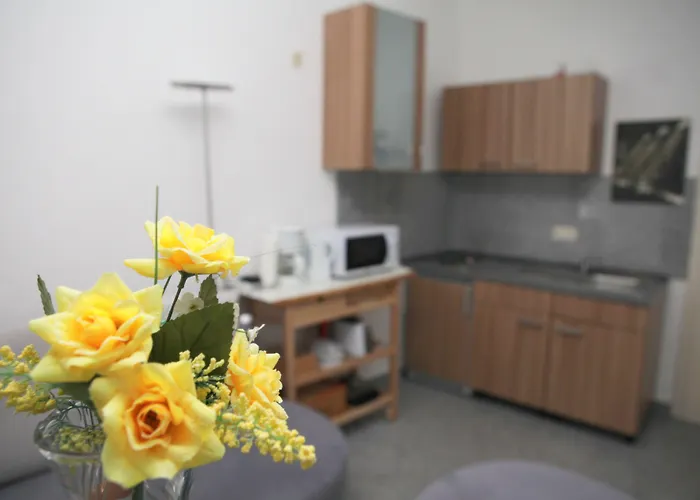 波鸿白色之家公寓 波鸿