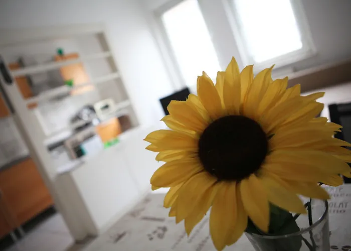 Διαμέρισμα White House Ehrenfeld